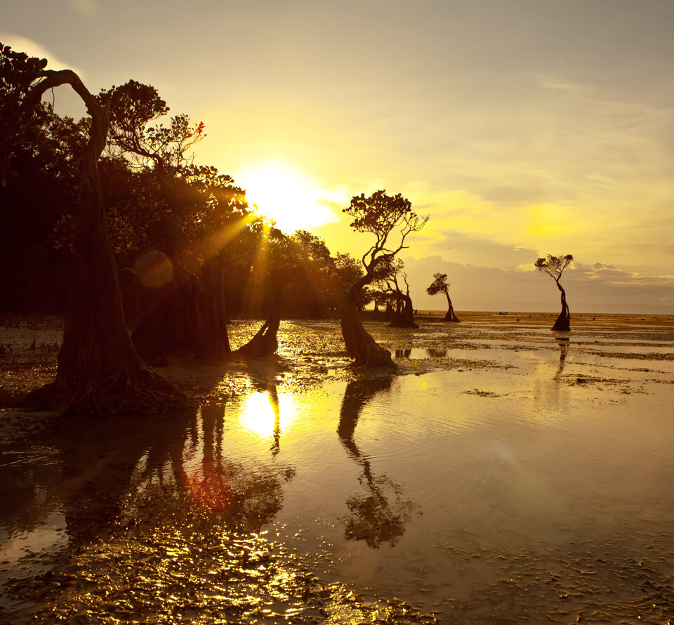 the beauty of sumba island