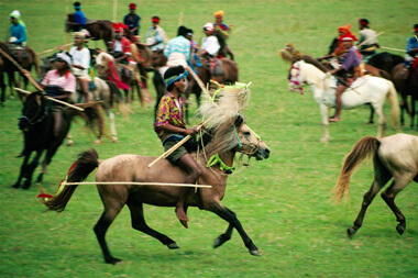Pasola Festival